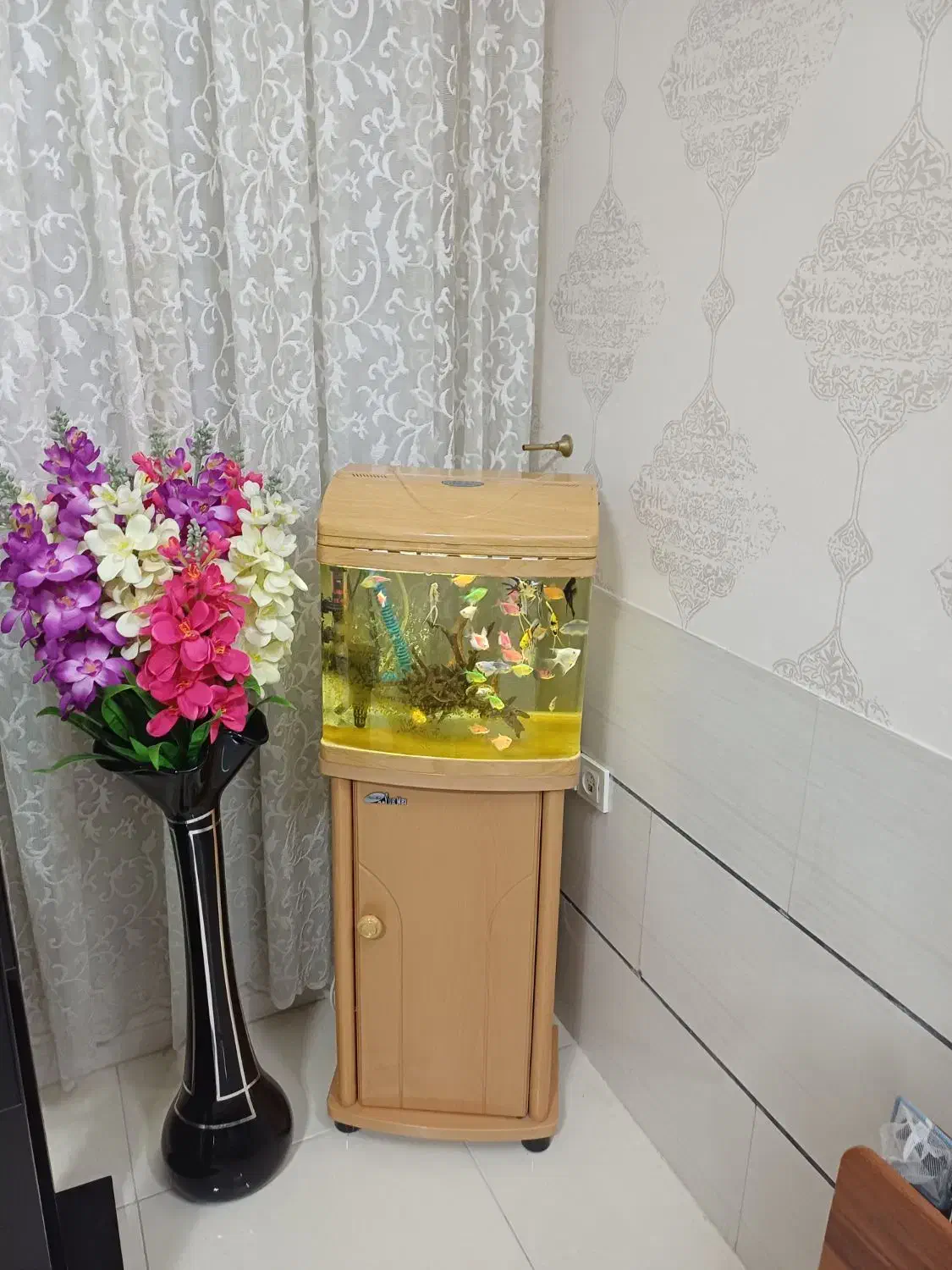 اکواریوم شرکتی یامی|ماهی|شیراز, شهرک رضوان|دیوار