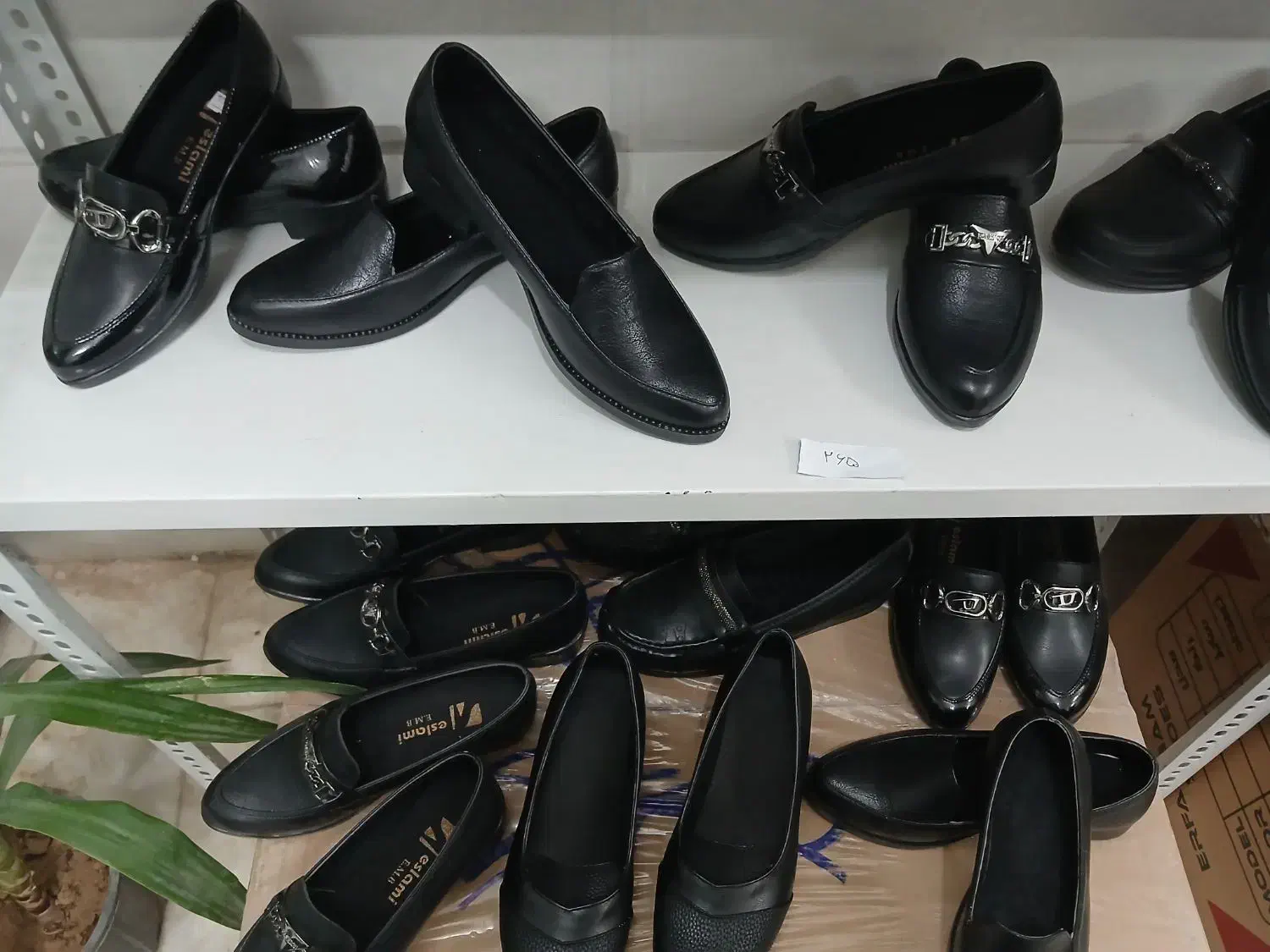 کفش مردانه. زنانه، بچه گانه|کیف، کفش، کمربند|کاشان, گارزگاه|دیوار