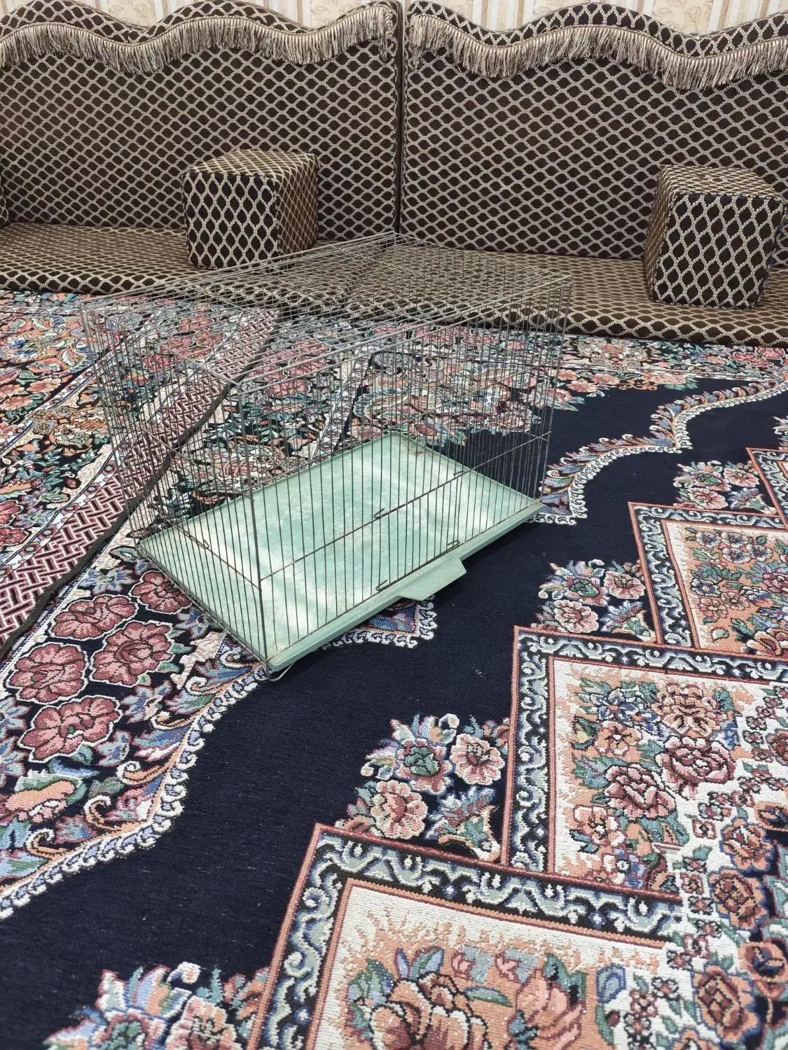 فروش قفس پرنده زینتی|لوازم جانبی حیوانات|اهواز, پردیس|دیوار