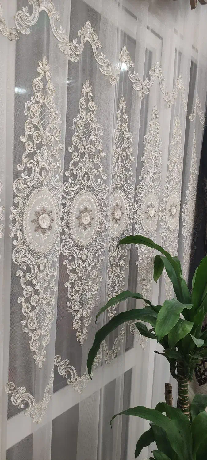 پرده سلطنتی در حد نو|پرده، رانر، رومیزی|رشت, کوی حسینی|دیوار