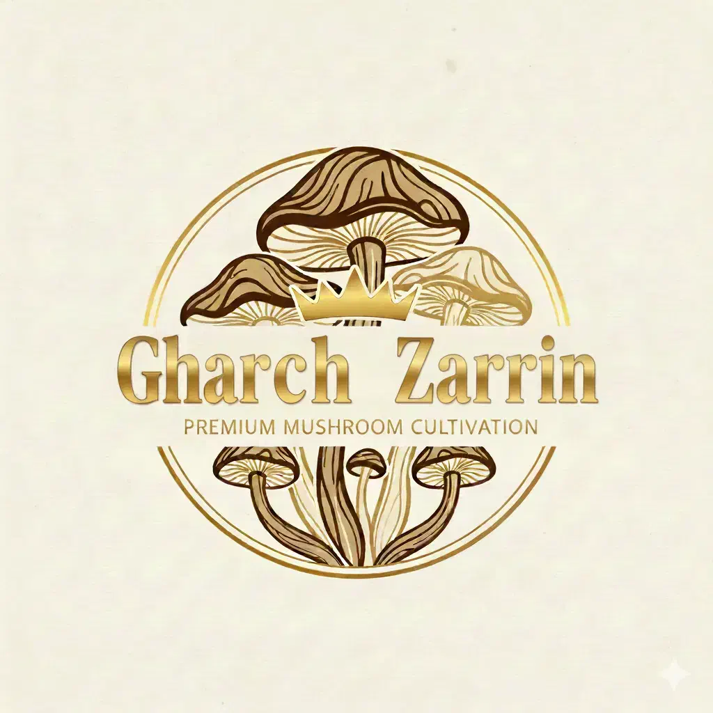 طراح حرفه ای لوگو،لوگوی متحرک،پاورپوینت،ترجمه|خدمات رایانهای و موبایل|بروجن, |دیوار