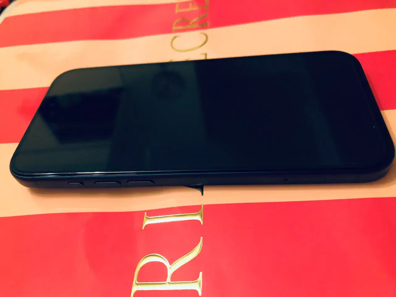 Iphone 17promax 256gig Blue|موبایل|تهران, محمودیه|دیوار