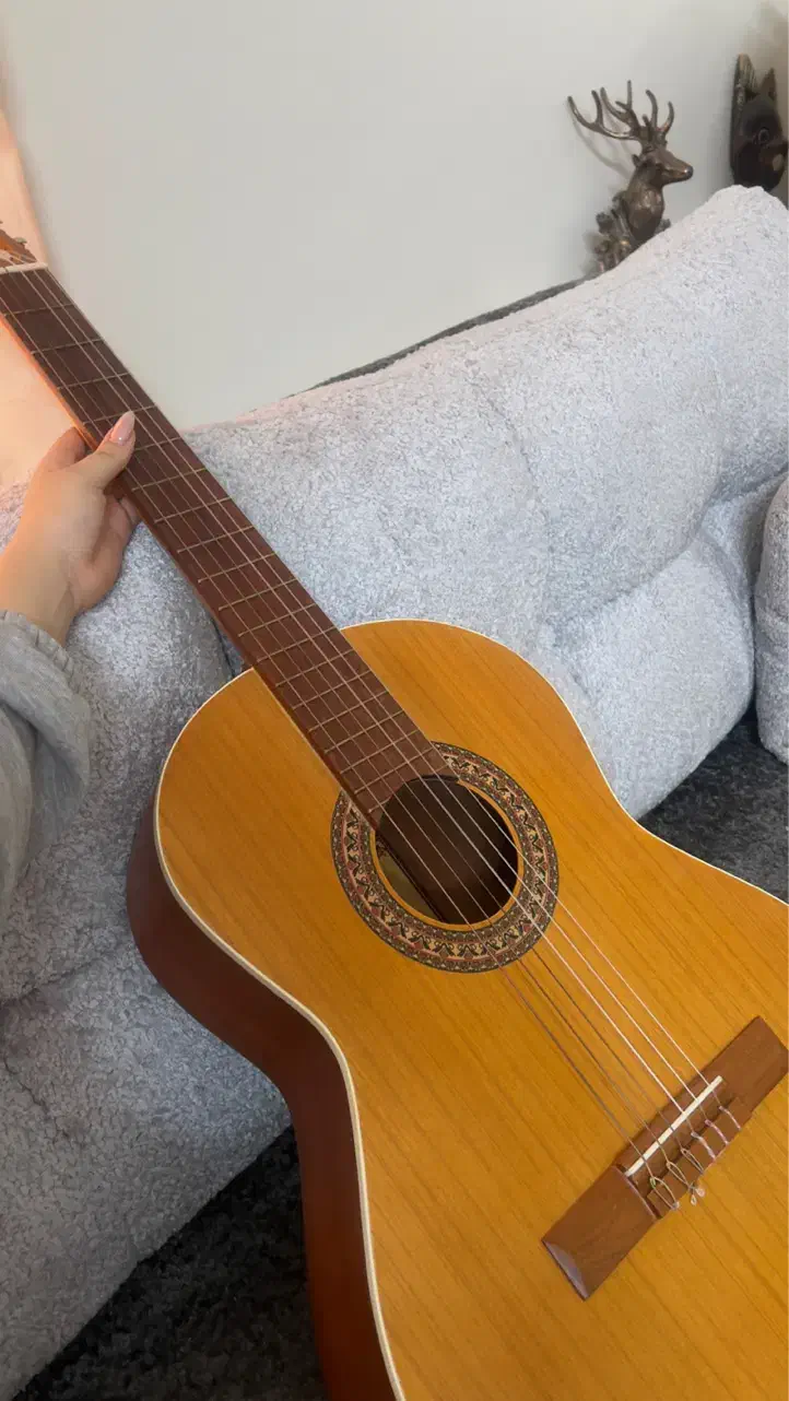 گیتار فارسی|گیتار، بیس، امپلیفایر|قم, صدوق|دیوار