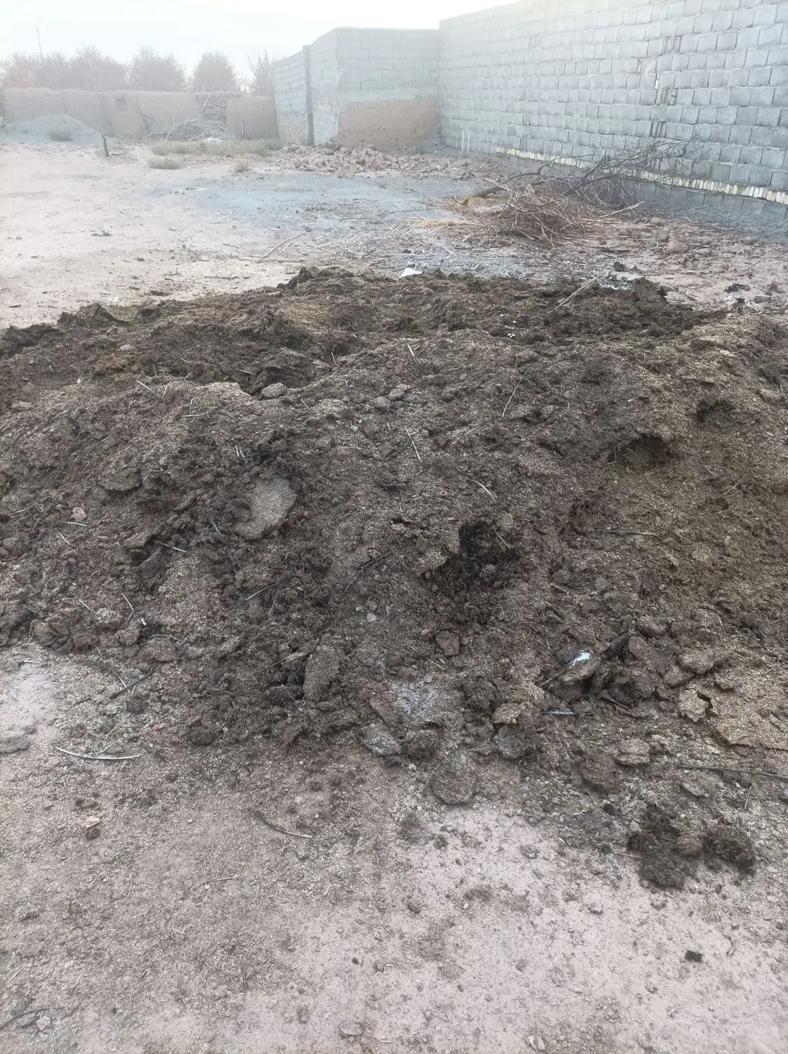 کود بوقلمون|خدمات باغبانی و درختکاری|نیشابور, ریوند|دیوار