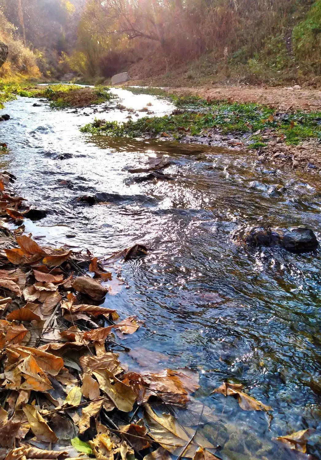وام مهربانی ملی|سازهای سنتی|اسفراین, |دیوار