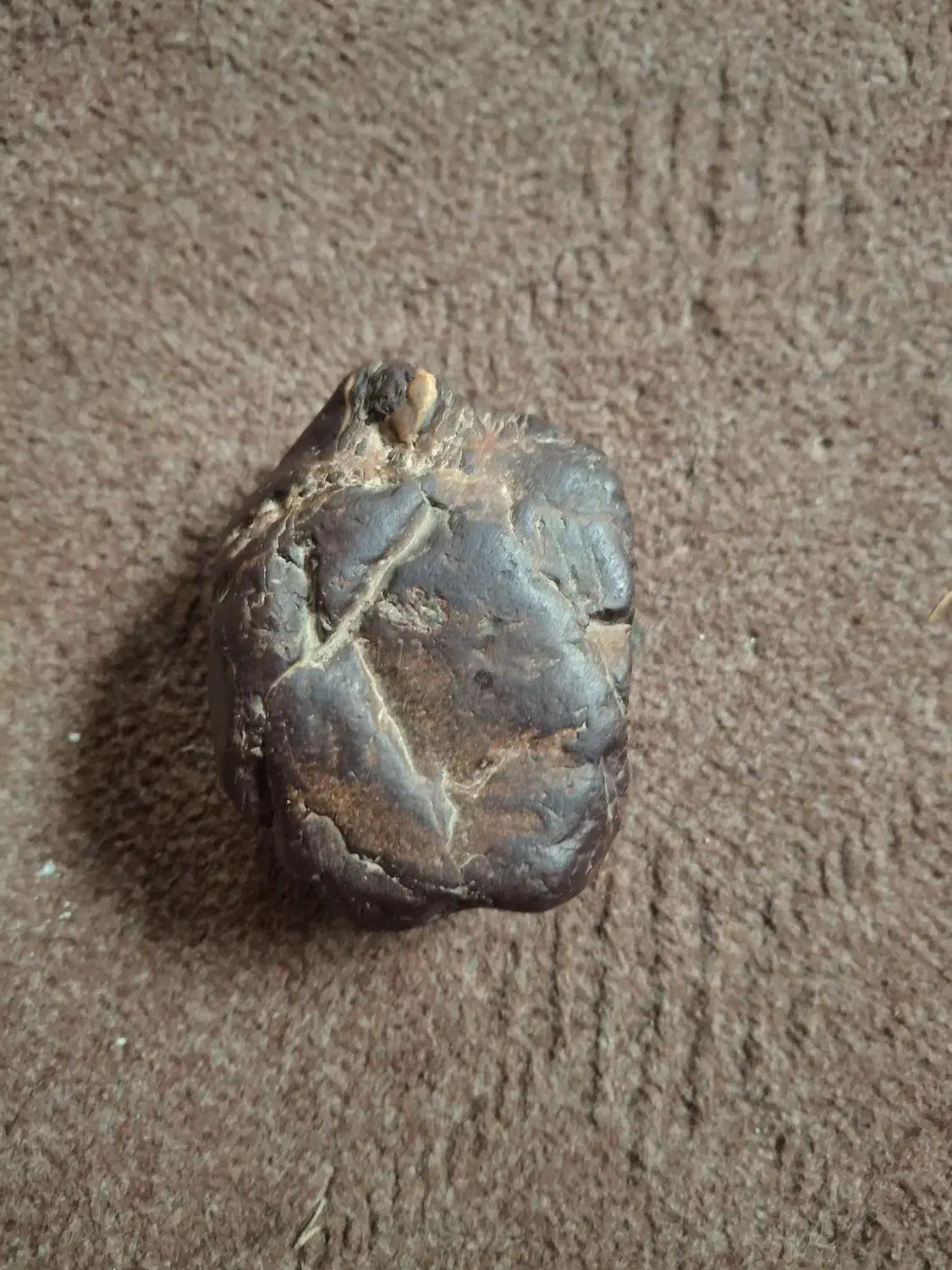 شهاب سنگ|جواهرات|علی‌آباد کتول, |دیوار