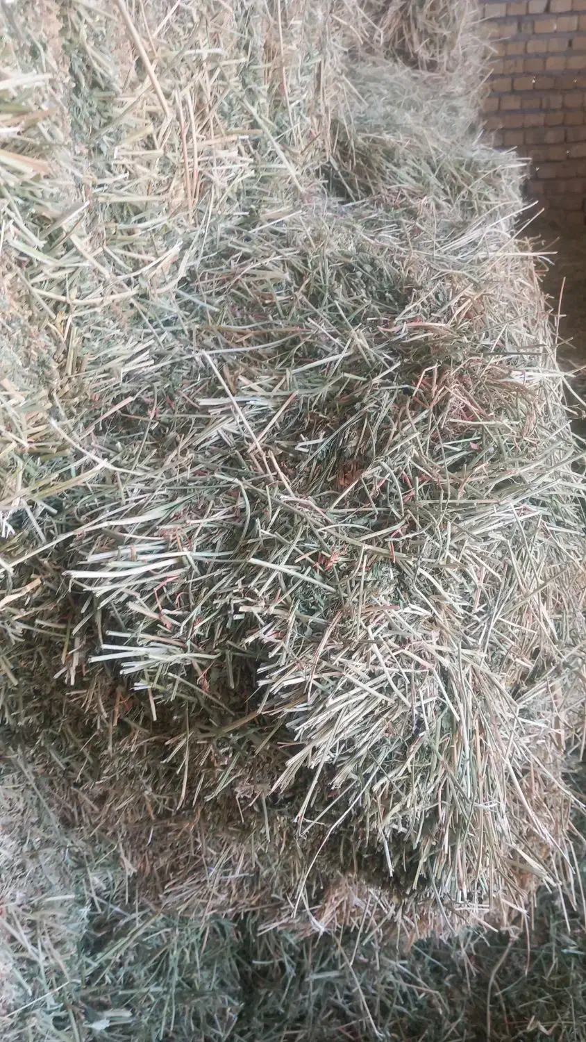 یونجه پرس|خدمات باغبانی و درختکاری|کبودرآهنگ, |دیوار