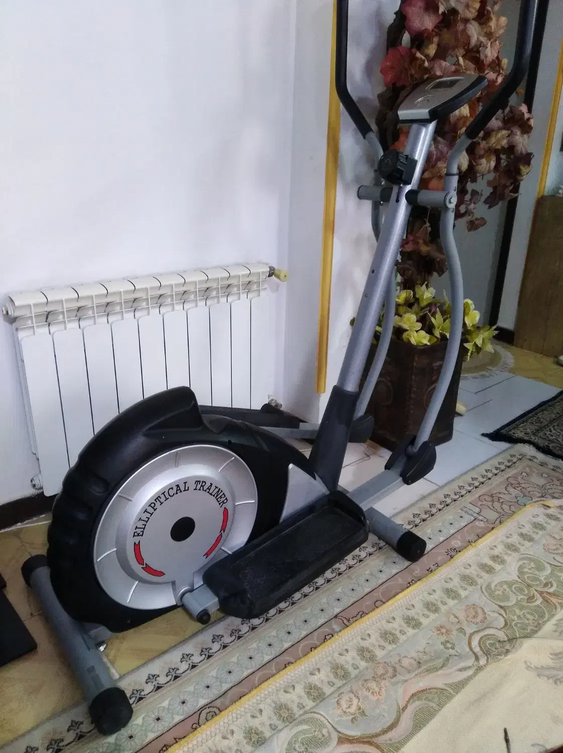 دوچرخه ثابت الپتیکال خارجی لاغری حد نو|تجهیزات ورزشی|فردیس, شهرک سپاه|دیوار