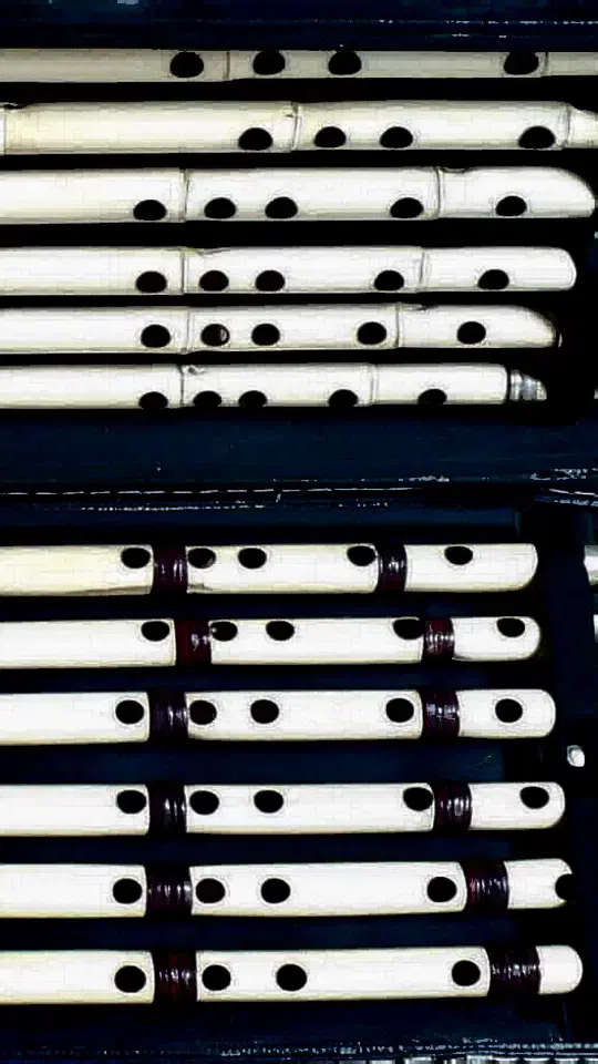 نی کلهر|سازهای بادی|قم, آذر (نکویی)|دیوار