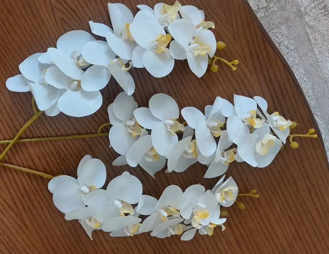 ارکیده لمسی|گل مصنوعی|مشهد, نیروی هوایی|دیوار