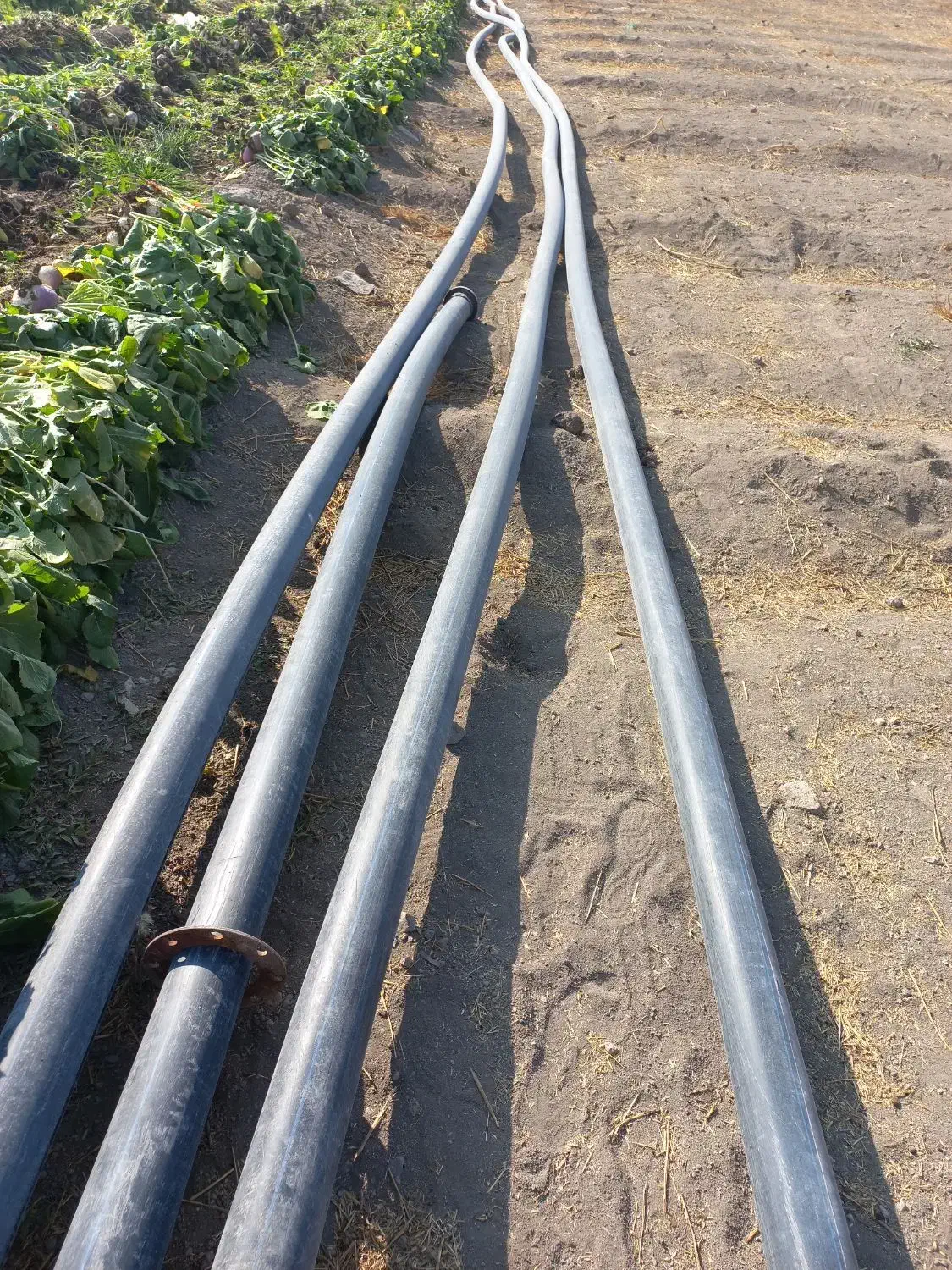 لوله پلی اتیلن ۴ اینچ|مصالح و تجهیزات ساختمان|پیر بکران, |دیوار