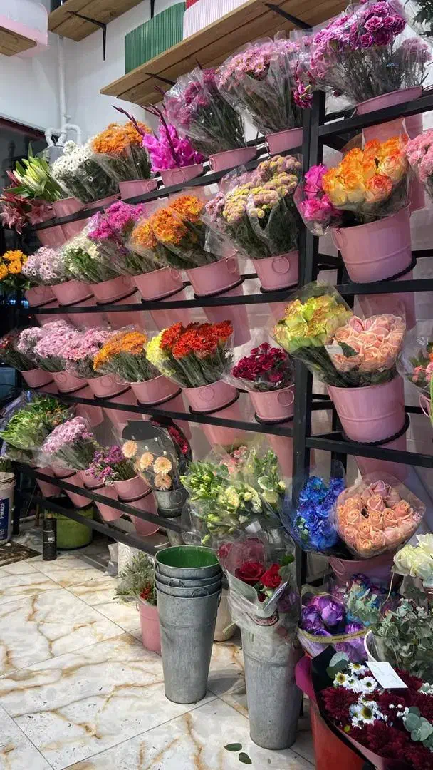 رگالیست|فروشگاه و مغازه|بندرعباس, |دیوار