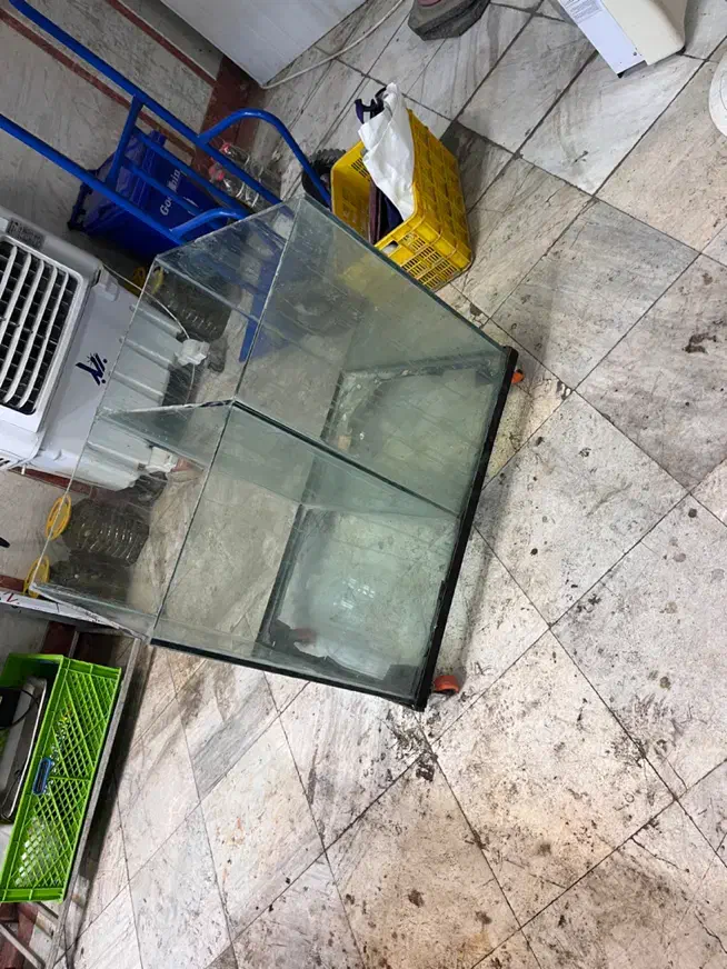 اکواریوم|ماهی|خرم‌آباد, |دیوار