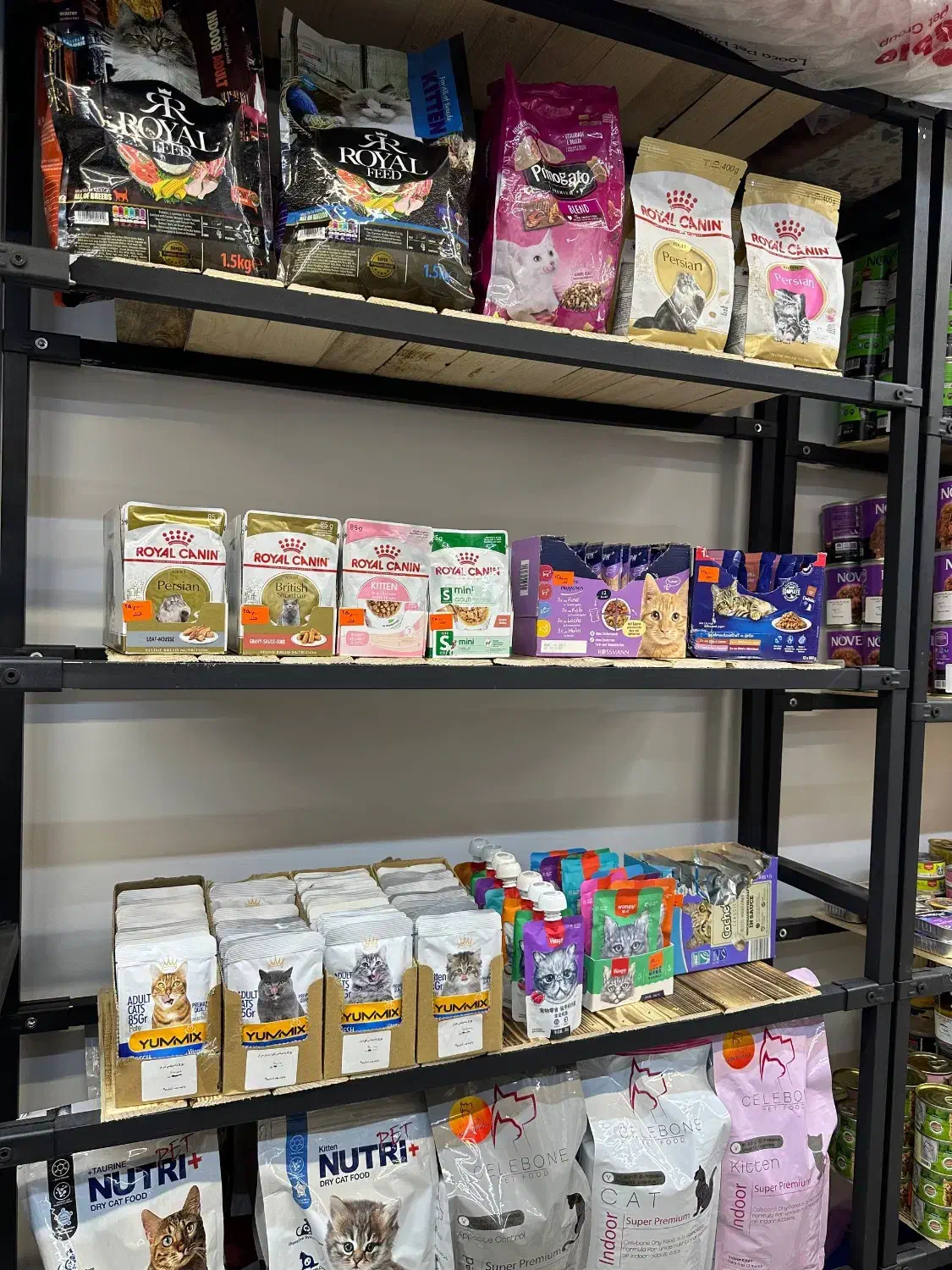 پت شاپ پاپت|لوازم جانبی حیوانات|مشهد, نیروی هوایی|دیوار