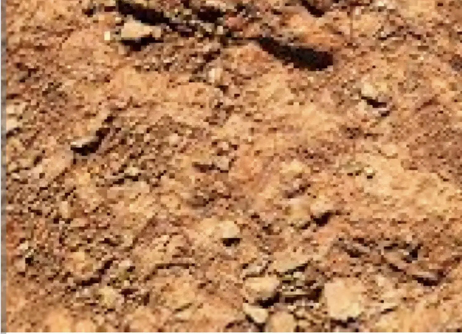 زمین ویلایی و مسکونی|فروش زمین و ملک کلنگی|زاویه, |دیوار