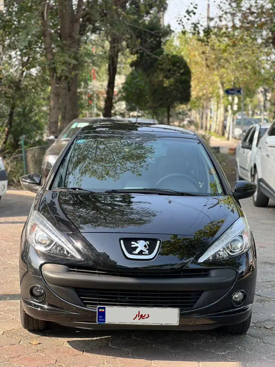 ۲۰۷ پانا دنده|خودرو سواری و وانت|لاهیجان, حاجی آباد|دیوار