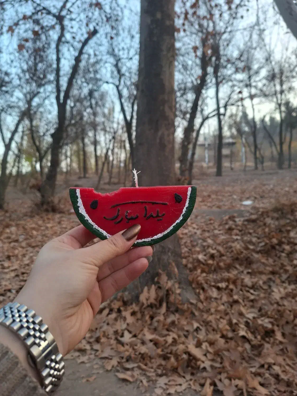 شمع یلدا|صنایع دستی و سایر لوازم تزئینی|بجنورد, |دیوار