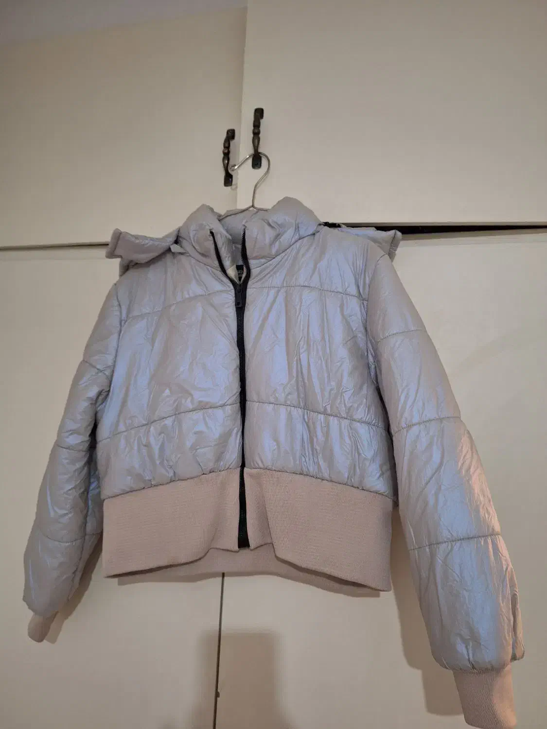 کاپشن تدی نو|لباس|کرج, ساماندهی|دیوار