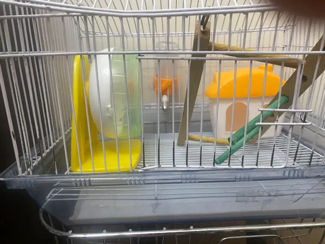 قفس همستر به همراه لوازم جانبی|لوازم جانبی حیوانات|تهران, حشمتیه|دیوار