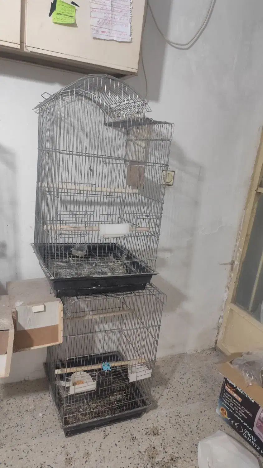 قفس عروس هلندی  و طوطی 1033|لوازم جانبی حیوانات|مشکین‌دشت, |دیوار
