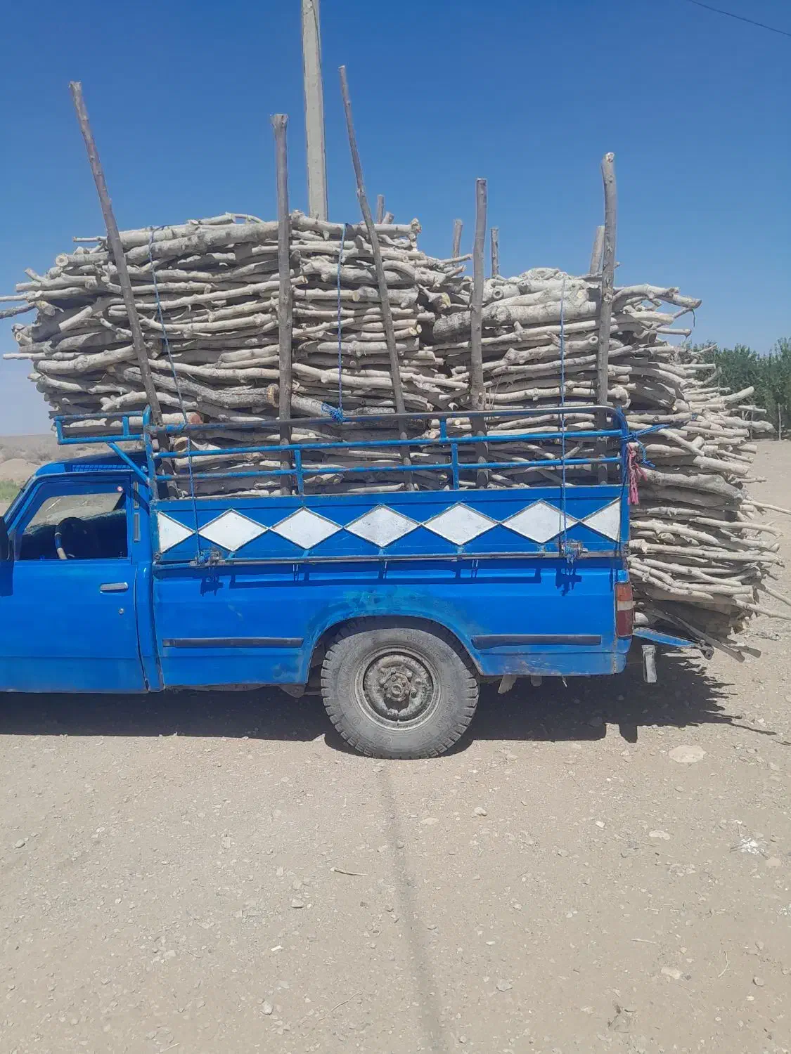 خریدانواع چوب درخت|خدمات باغبانی و درختکاری|سیرجان, |دیوار