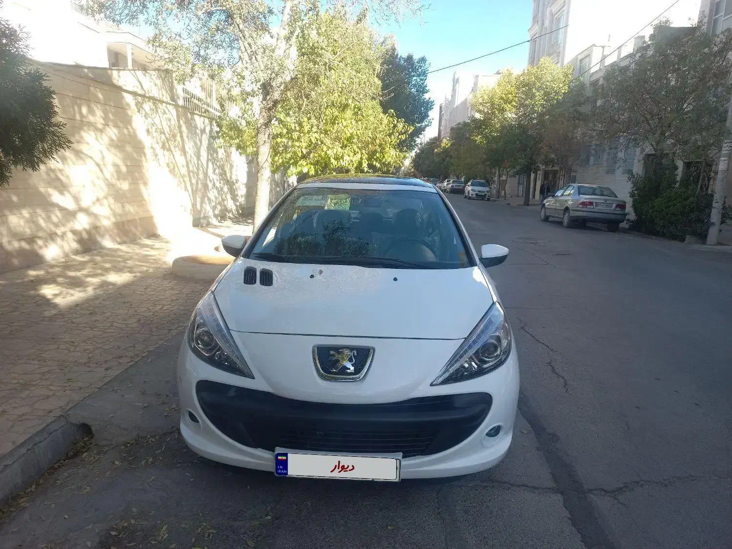 ۲۰۷ پانا ۱۴۰۰|خودرو سواری و وانت|اراک, |دیوار