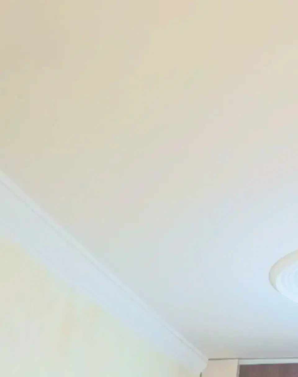 نقاشی ساختمان|خدمات پیشه و مهارت|پاکدشت, شهرک امام رضا|دیوار