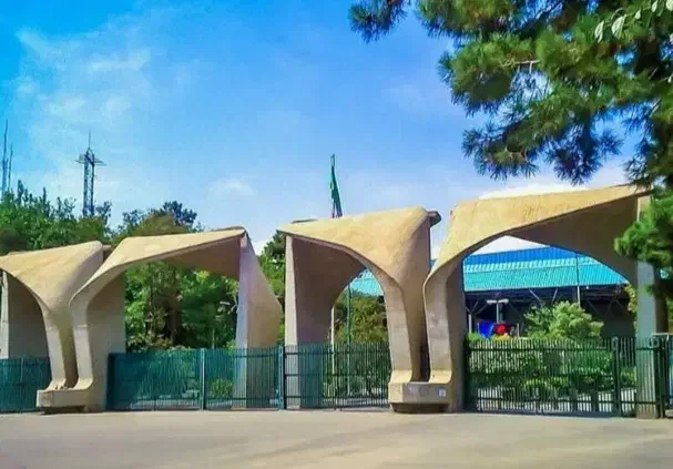 کاردانی /کارشناسی/کارشناسی ارشد/دکترا|خدمات آموزشی|کرمان, |دیوار