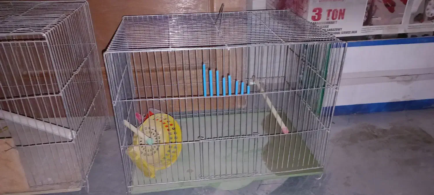 ۳عدد قفس پرنده|لوازم جانبی حیوانات|کرمانشاه, |دیوار