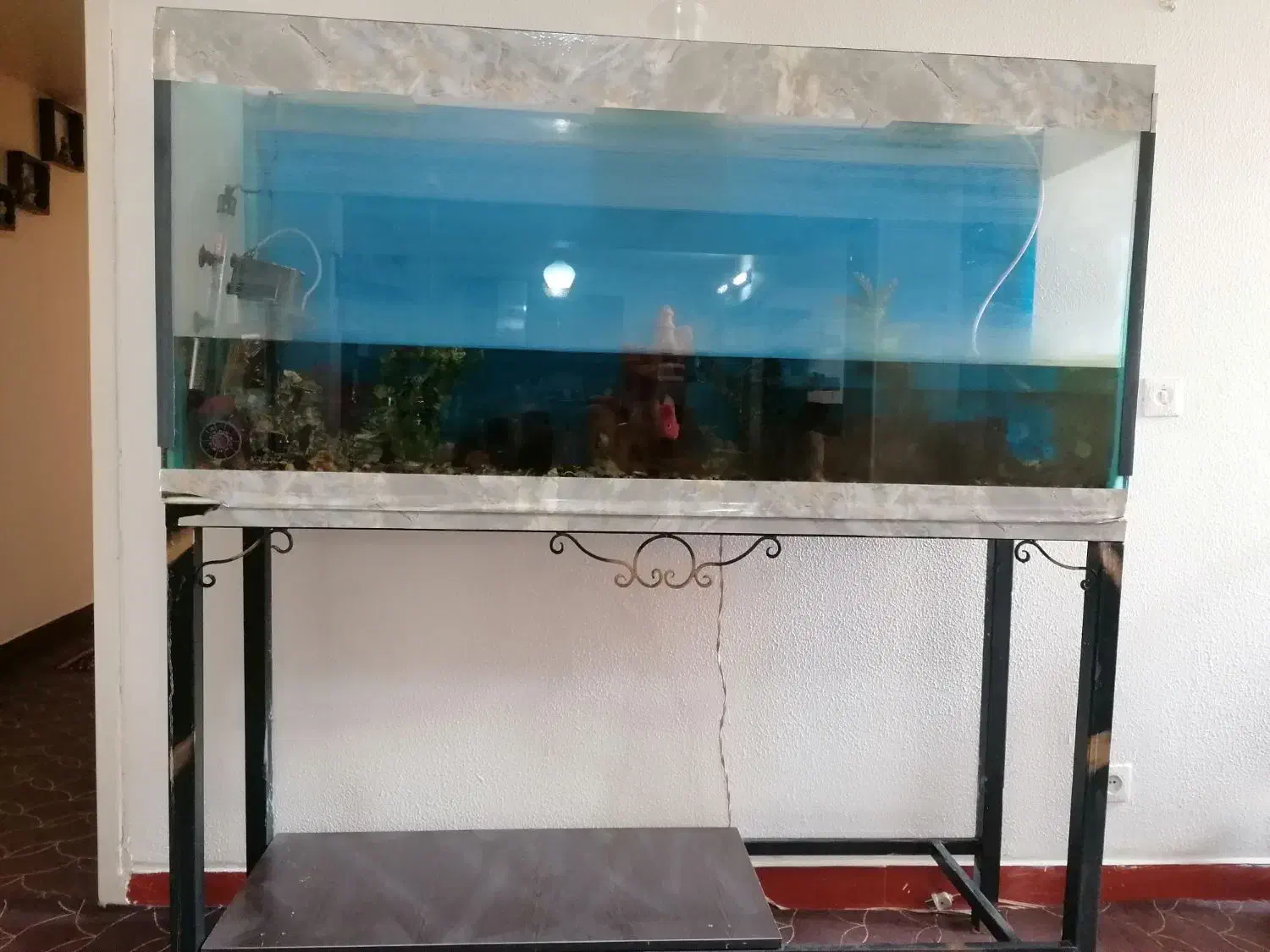 آکواریوم با تجهیزات|ماهی|شاهینشهر, شهرک ردانی پور|دیوار