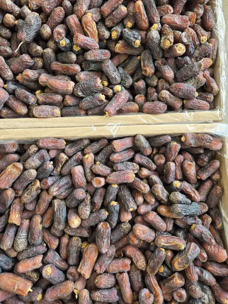 خرما پیارم درجه دو گوشتی|خوردنی و آشامیدنی|اوز, |دیوار