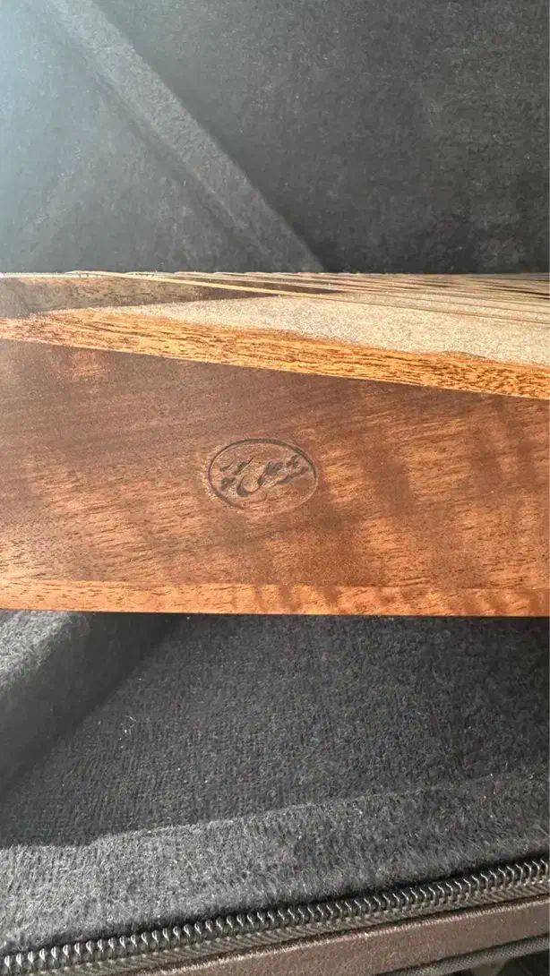 سنتور حرفه ای ( میثم علیپور )|سازهای سنتی|تهران, صادقیه|دیوار