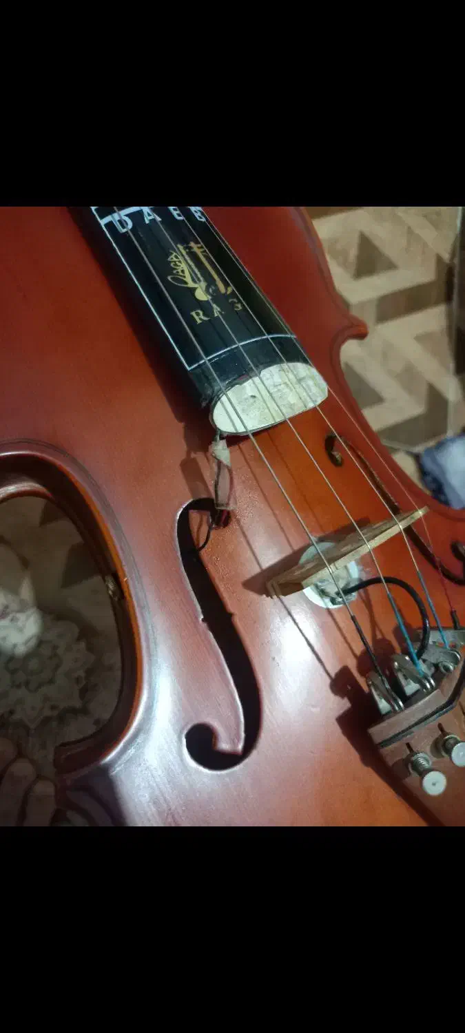 ویلون tf142 پیکاپ دار|ویولن|قرچک, شهرک طلائیه|دیوار