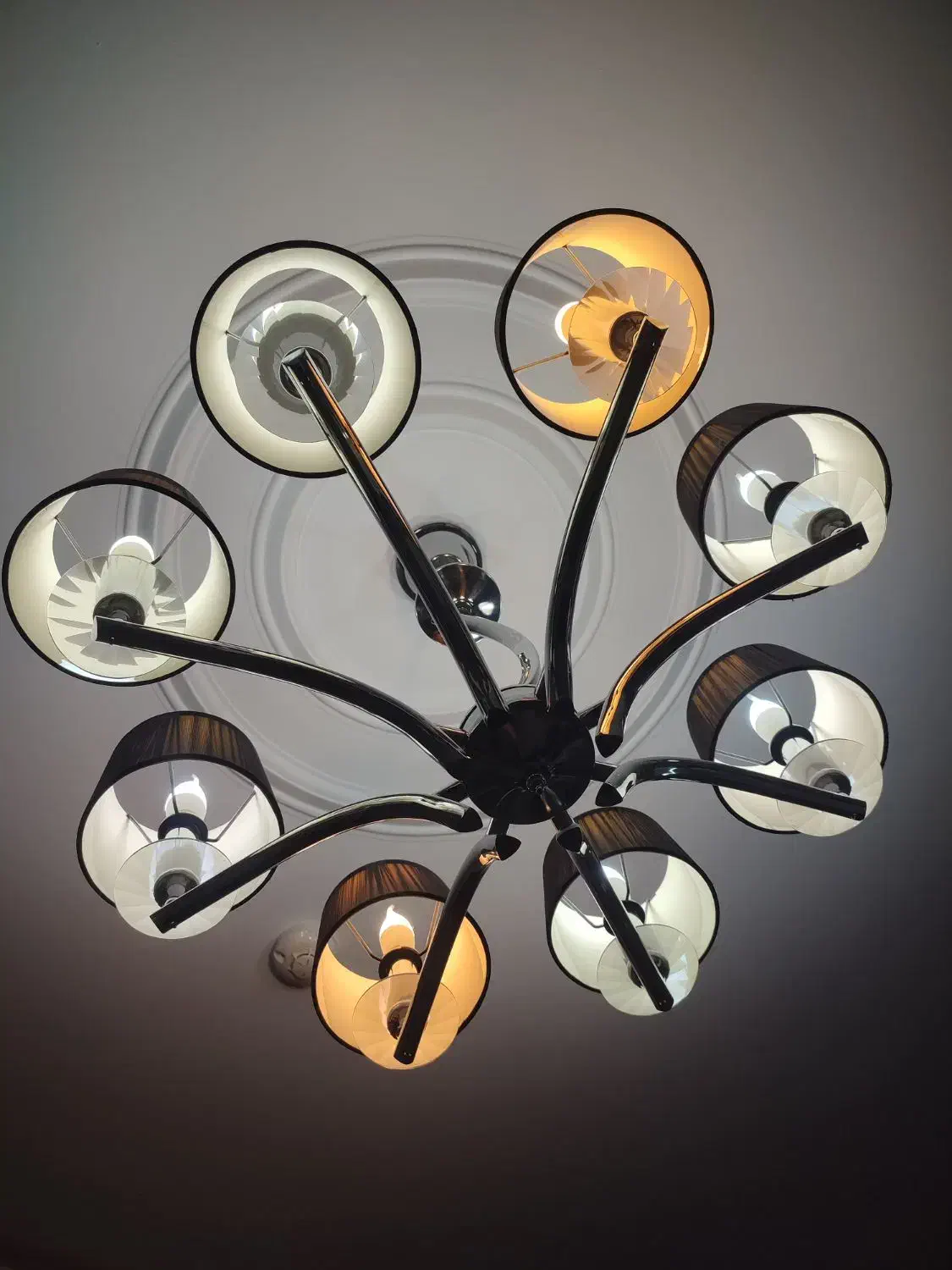 لوستر 8شاخه استیل همراه دیوار کوب|لوستر و چراغ آویز|تهران, زرکش|دیوار