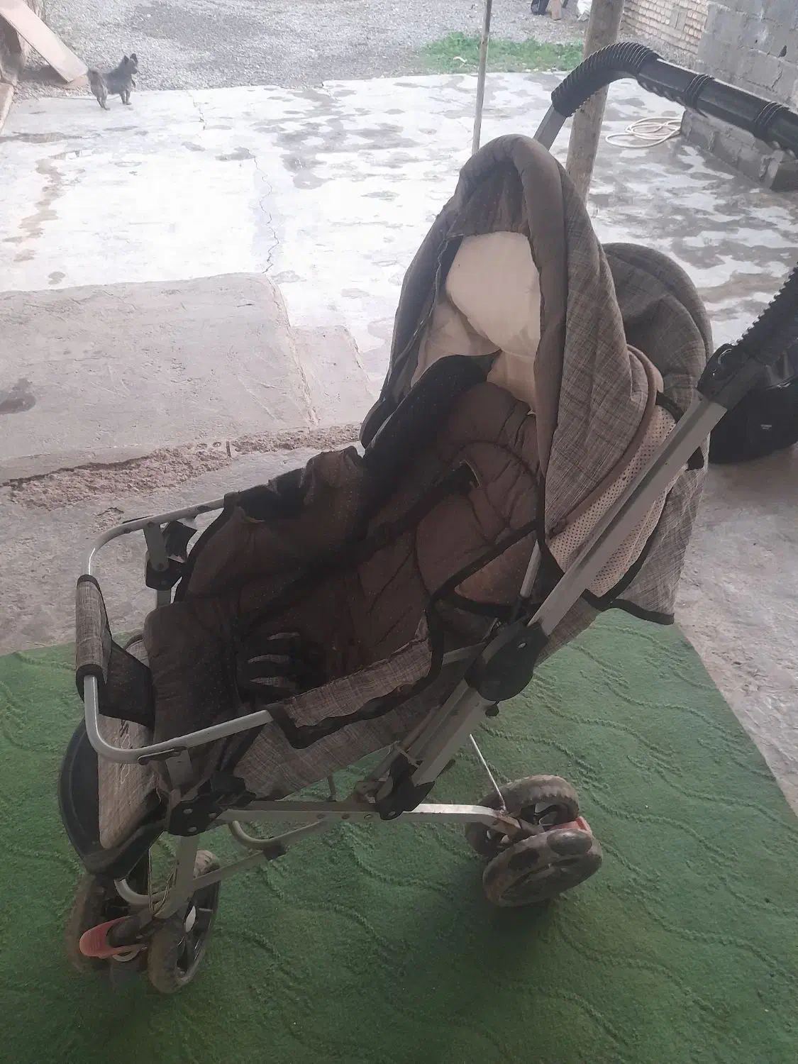 کالسکه|کالسکه و لوازم جانبی|مزرعه کتول, |دیوار