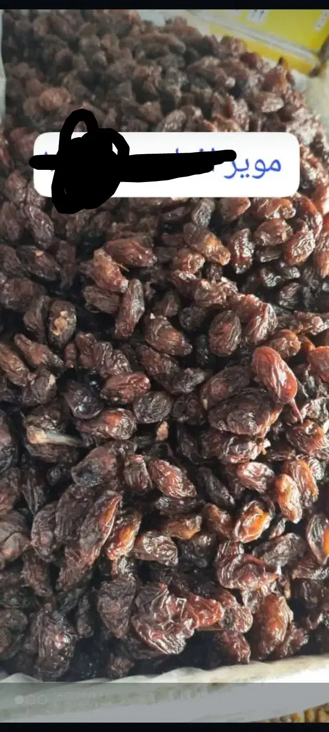 کشمش ۱۰۰درصد آفتابی|خوردنی و آشامیدنی|پاکدشت, پاکدشت (مامازند)|دیوار