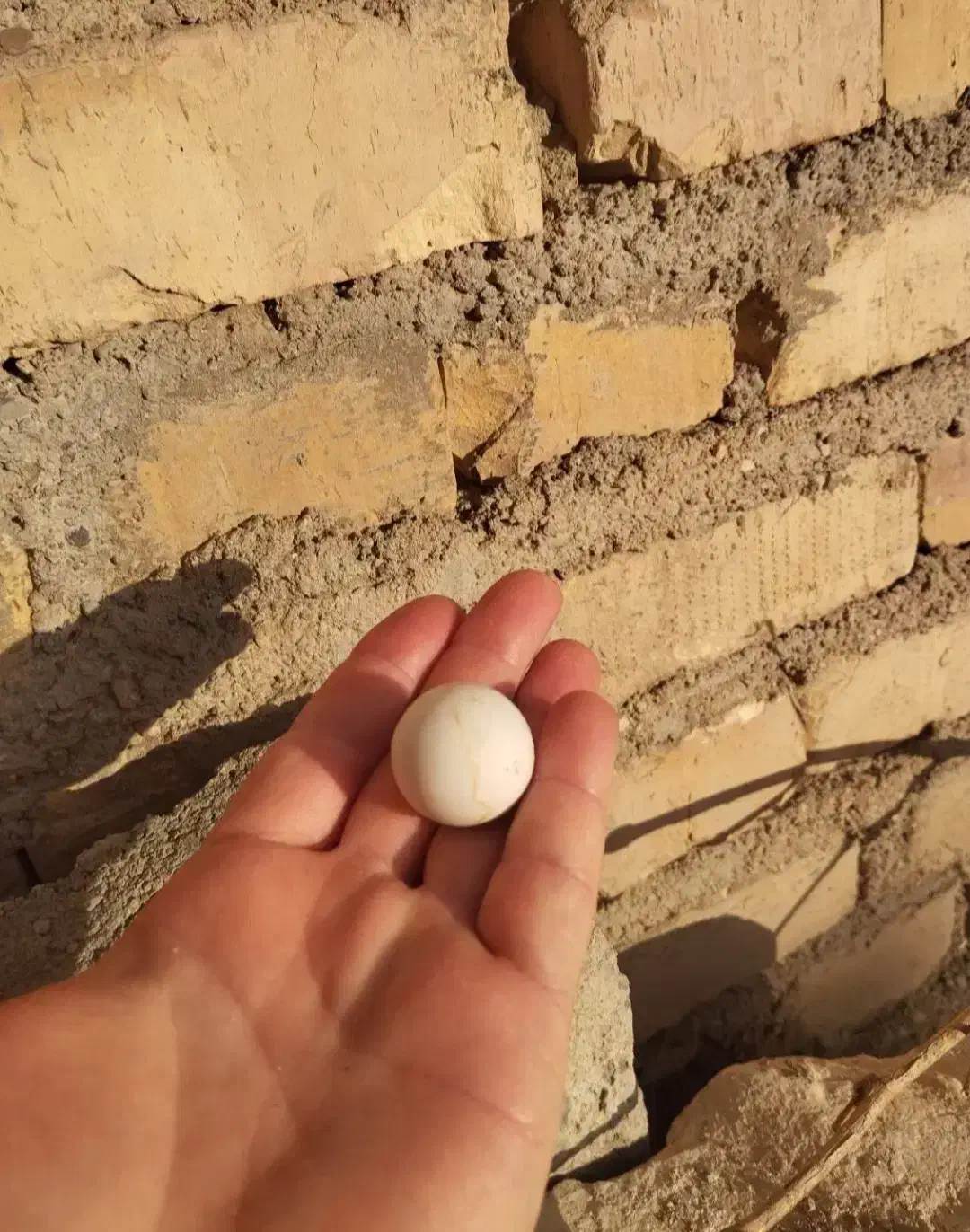 سنگ آسیاب قدمی|کلکسیون اشیاء عتیقه|قدس, معادن شن و ماسه|دیوار