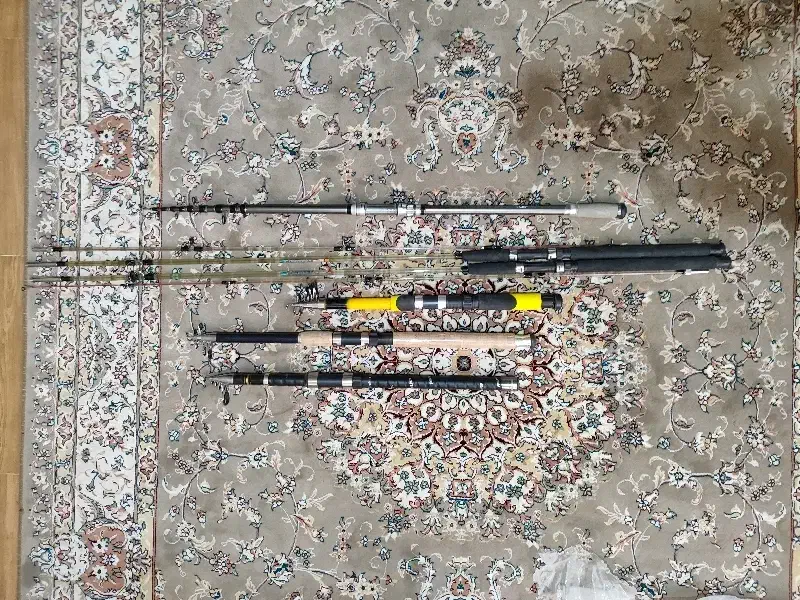 چوب ماهی گیری|ماهیگیری|اصفهان, امیرعرب|دیوار