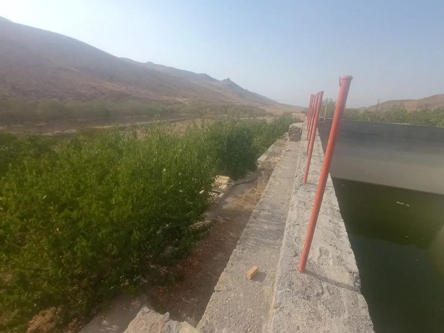 باغ ۵۰۰۰متری کرمجگان|فروش زمین و ملک کلنگی|قم, بکایی|دیوار