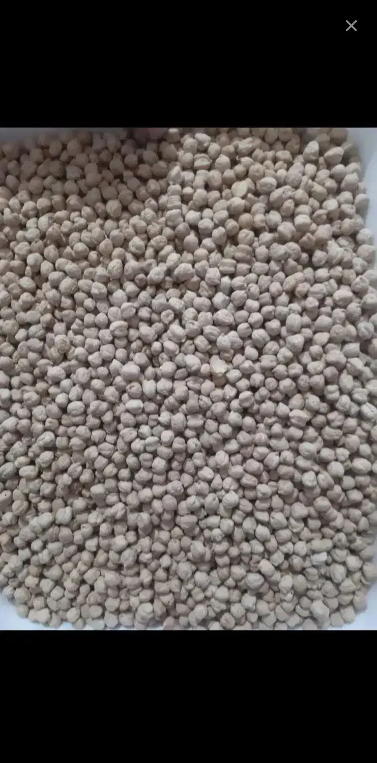 نخود درشت|خوردنی و آشامیدنی|دهگلان, |دیوار