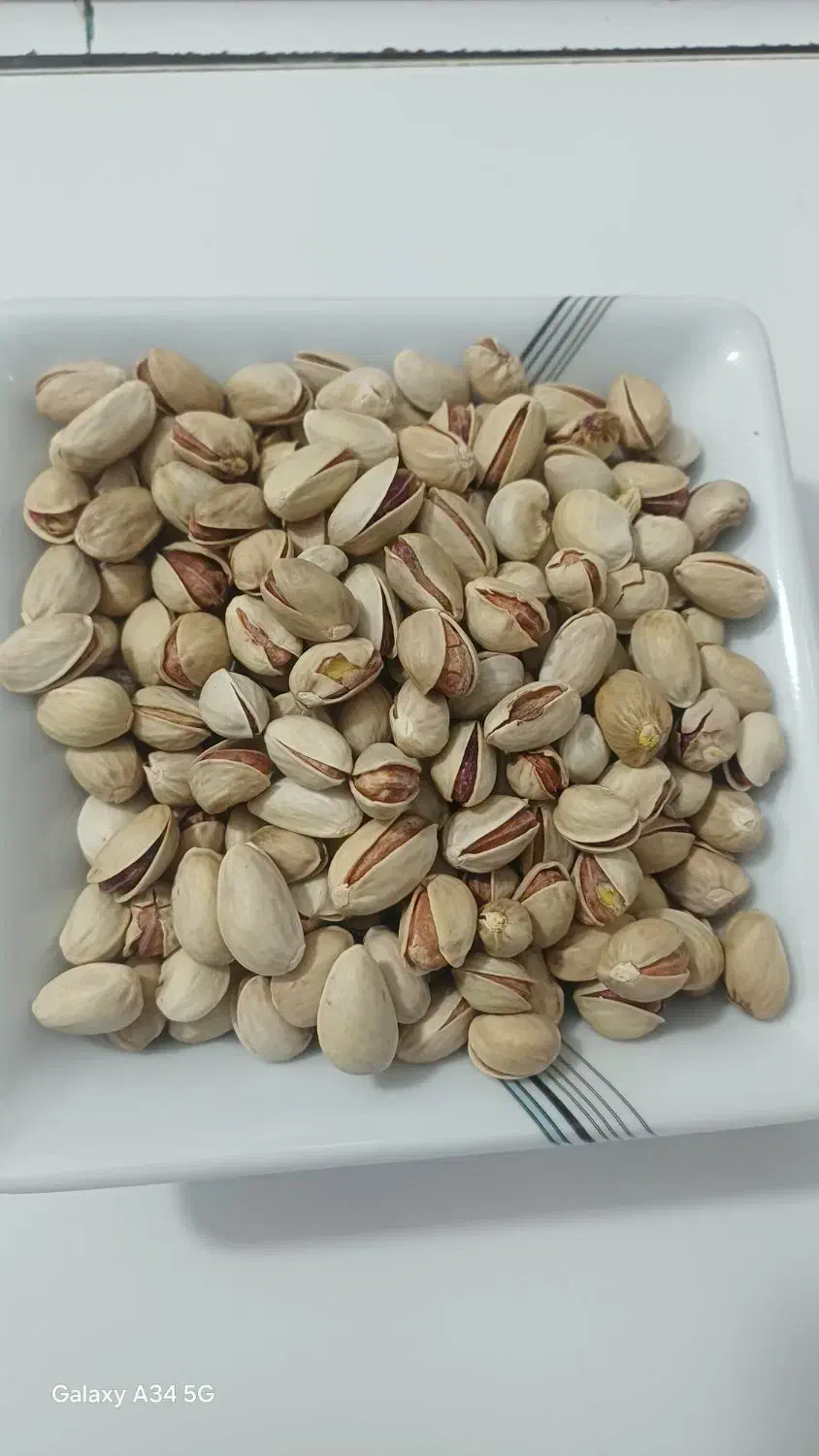 فروش پسته تازه امسال|خوردنی و آشامیدنی|شیراز, کوشک میدان|دیوار