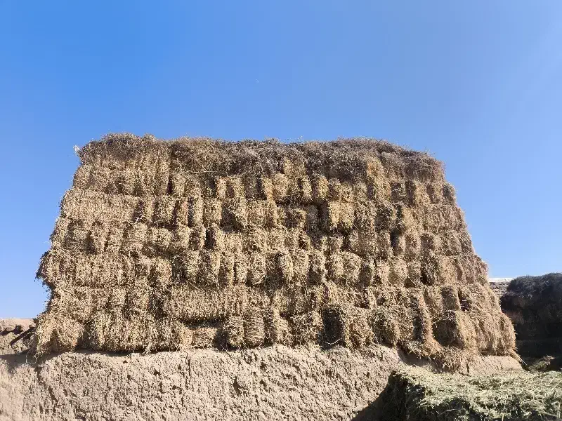 یونجه چین 2|لوازم جانبی حیوانات|پلدشت, |دیوار