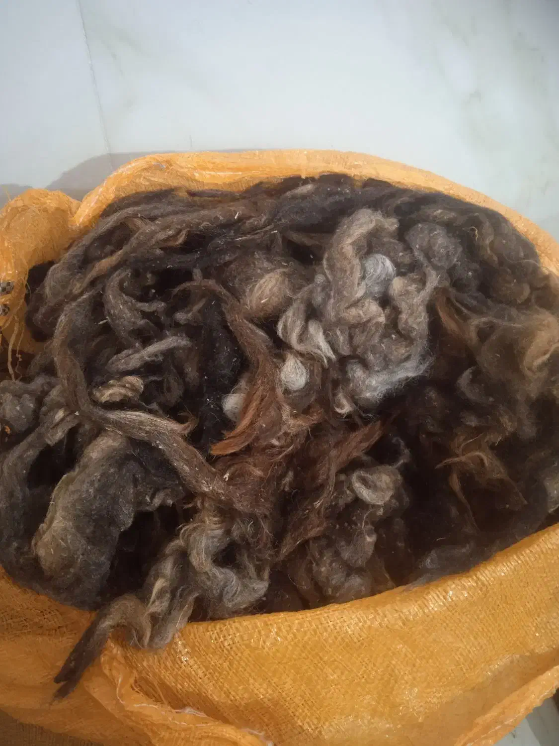 پشم|رختخواب، بالش، پتو|مهاباد (آذربایجان غربی), |دیوار