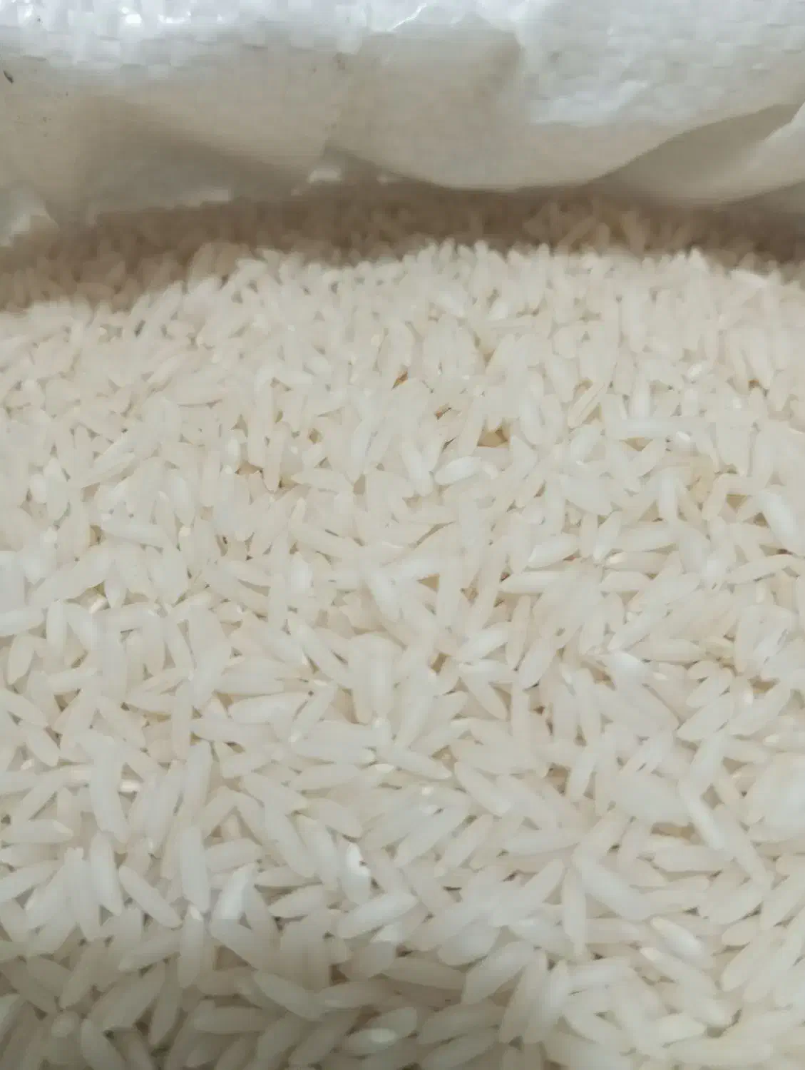 برنج ایرانی، بی واسطه از شالیکار بخرید|خوردنی و آشامیدنی|مشهد, عبادی|دیوار