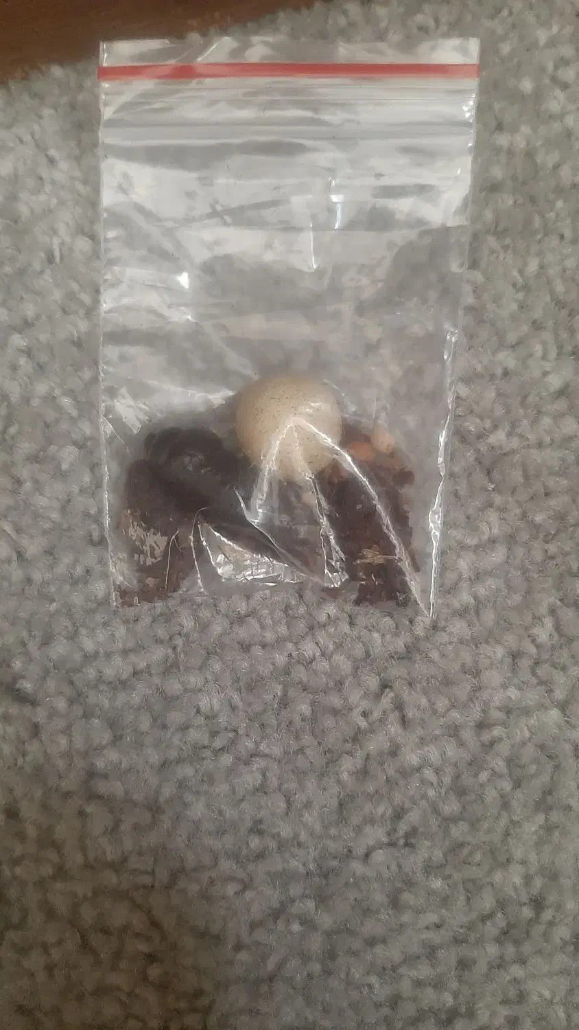 سلطانی|جواهرات|بندرعباس, |دیوار