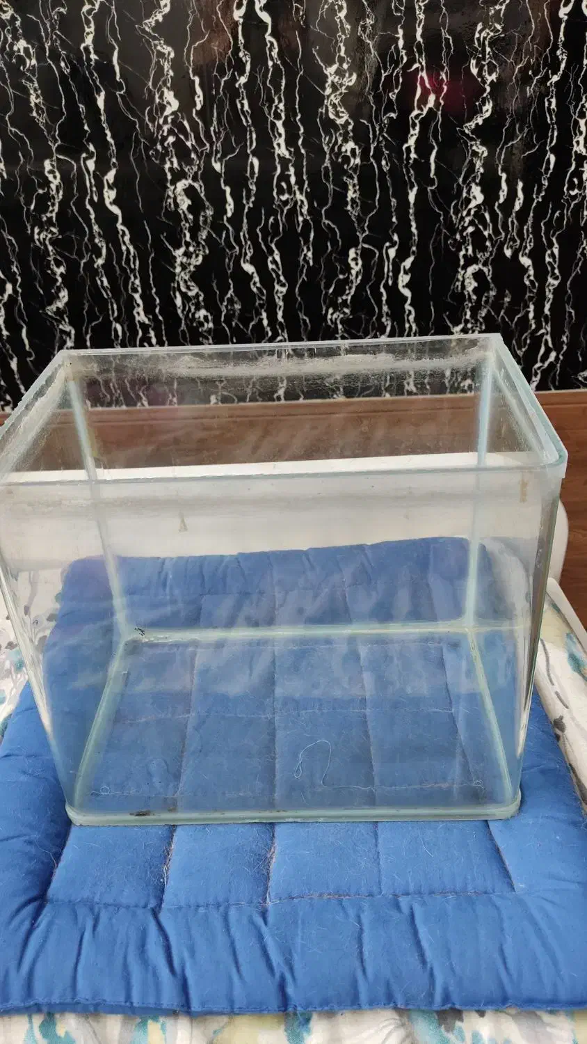 آکواریوم|ماهی|تهران, سازمان آب|دیوار