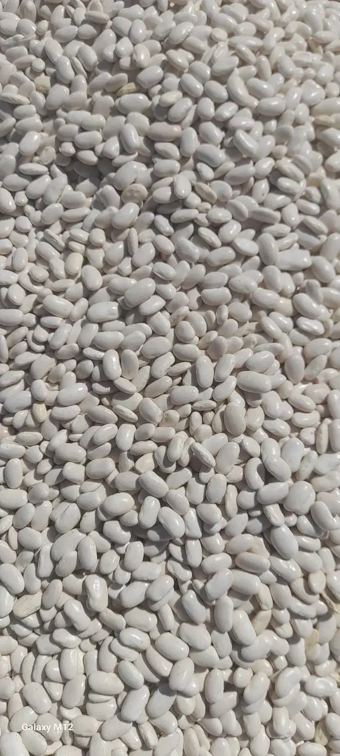 لوبیا چیتی سفید|خوردنی و آشامیدنی|رستم, |دیوار