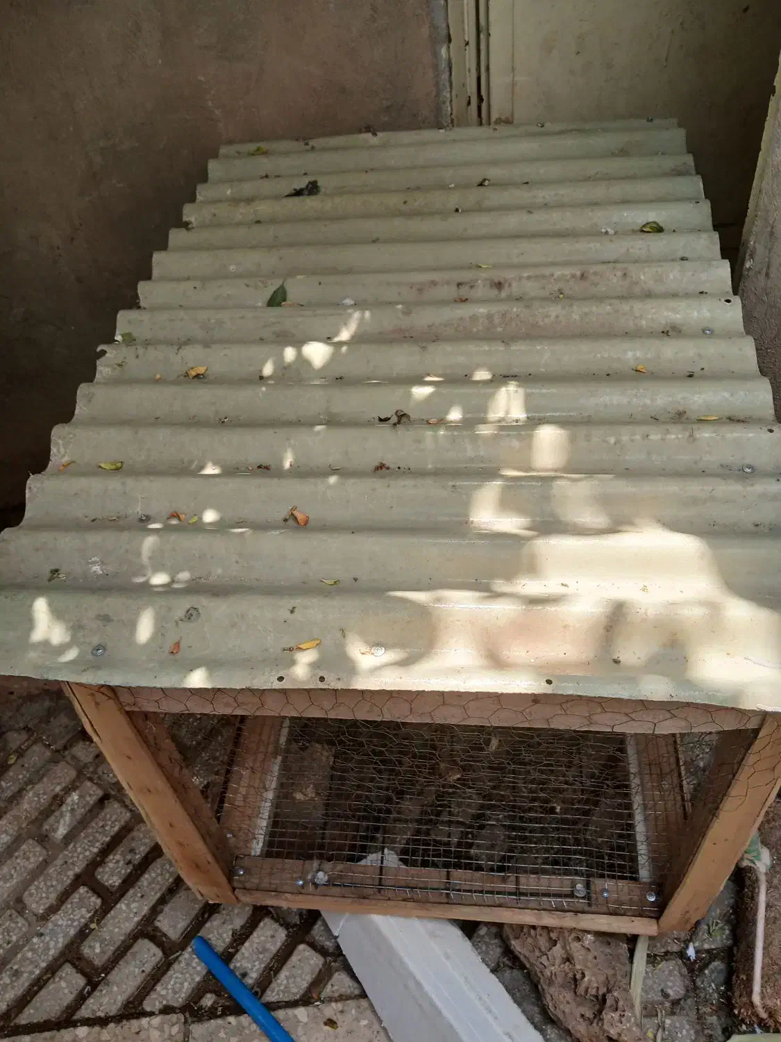 قفس مرغ خروس|لوازم جانبی حیوانات|کرمانشاه, |دیوار