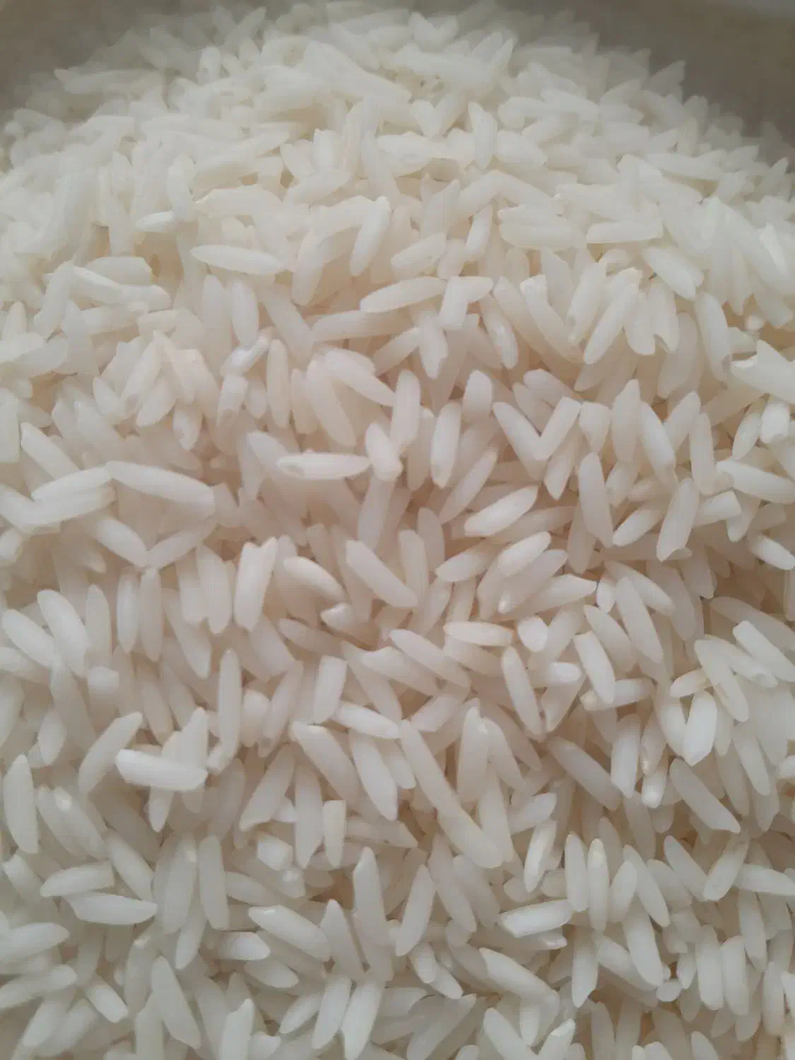 برنج هاشمی درجه یک|خوردنی و آشامیدنی|تولم شهر, |دیوار