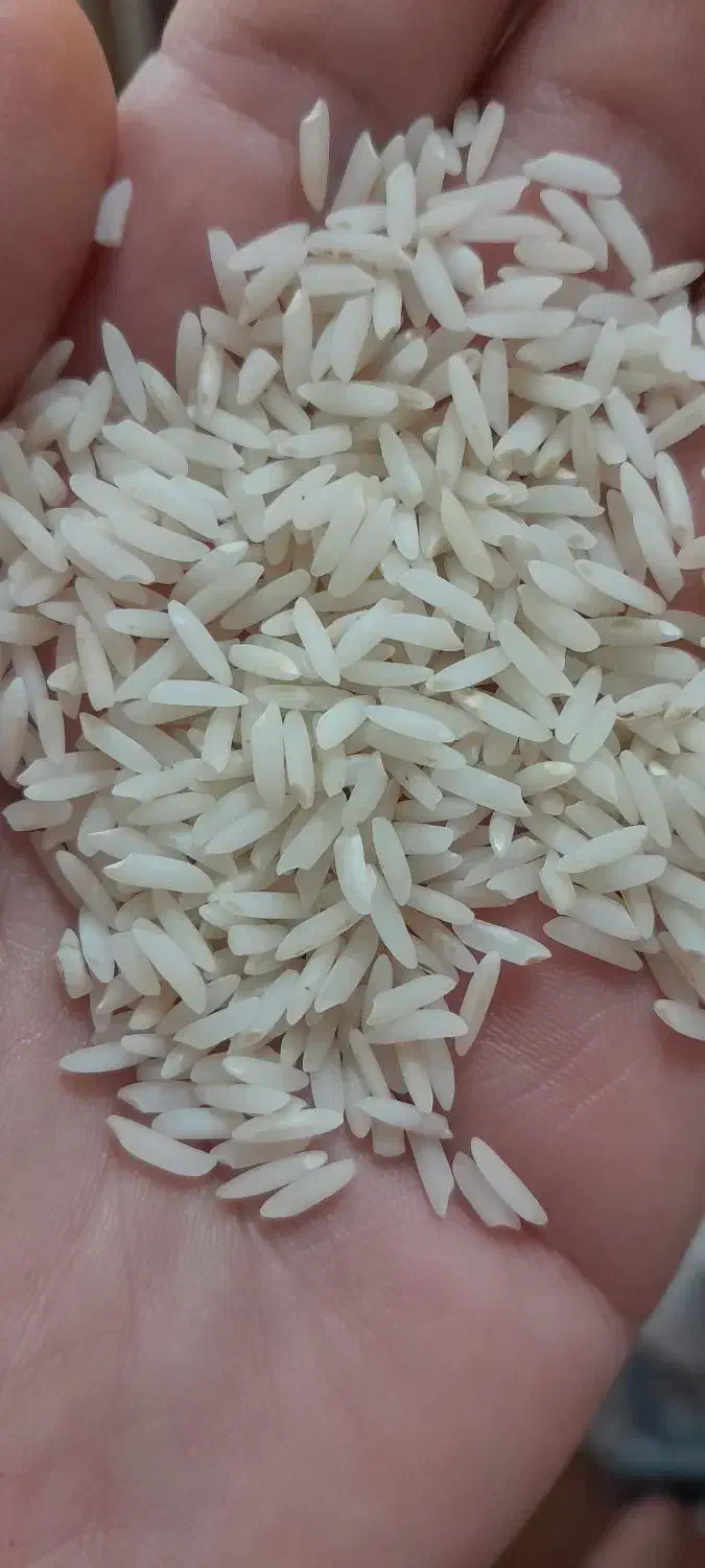 برنج درونگر|خوردنی و آشامیدنی|قوچان, |دیوار